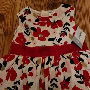Carter's holiday dress